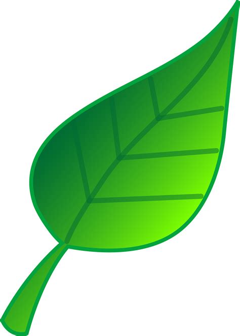 leaves clip art|free clip art for leaves.